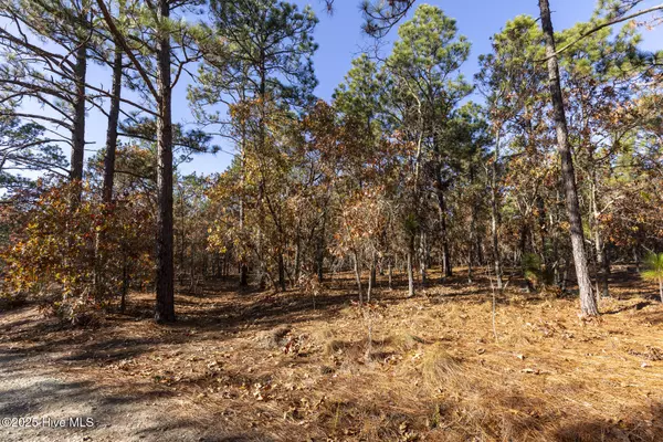 Carthage, NC 28327,465 Roundabout RD