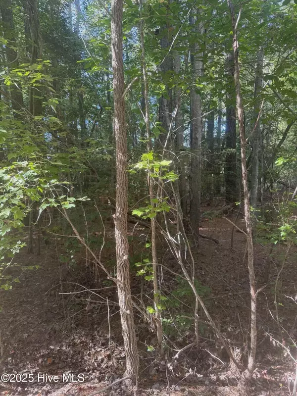 Carthage, NC 28327,Lot 51 A Palomino RD