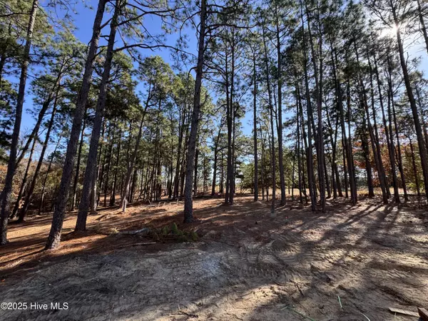 West End, NC 27376,494 Longleaf DR