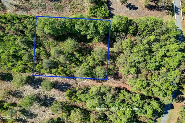 Supply, NC 28462,2021 Sea Lavender RD SW