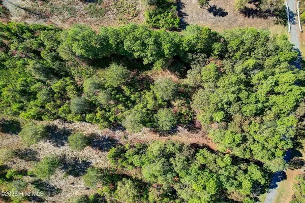 Supply, NC 28462,2021 Sea Lavender RD SW