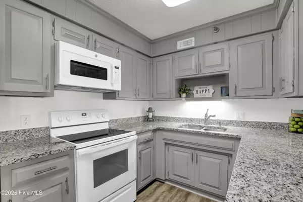 North Topsail Beach, NC 28460,1896 New River Inlet RD #1309