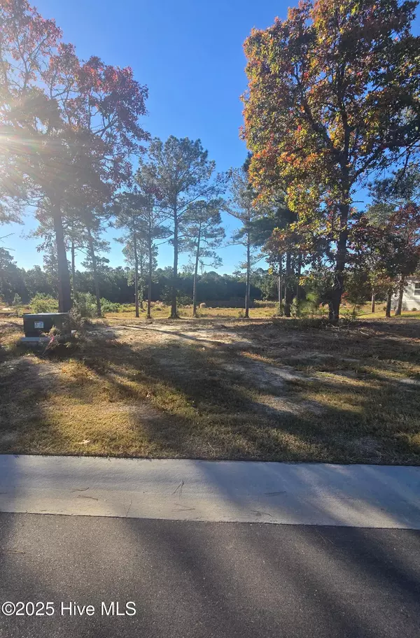 Sunset Beach, NC 28468,7507 Wallace PL SW