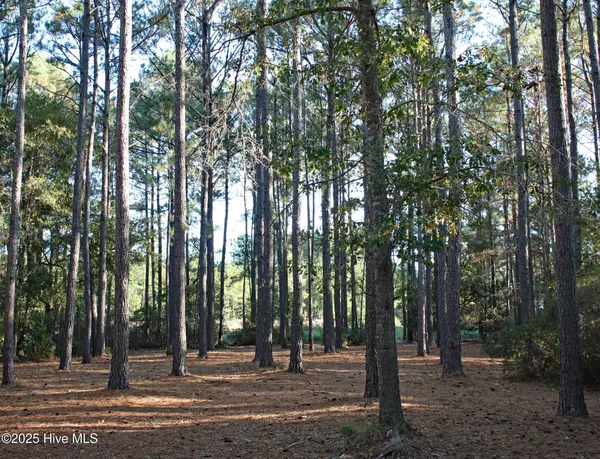 Ocean Isle Beach, NC 28469,6402 Castlebrook WAY SW