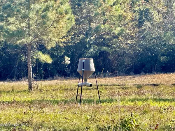 Whiteville, NC 28472,0 Near 4294 James B Wh