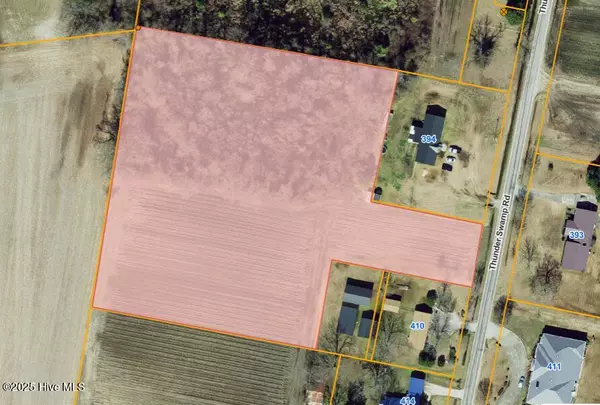 Parcel 6 Thunder Swamp RD, Mount Olive, NC 28365