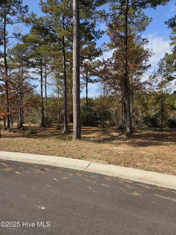 Sunset Beach, NC 28468,7475 Donegal CIR SW
