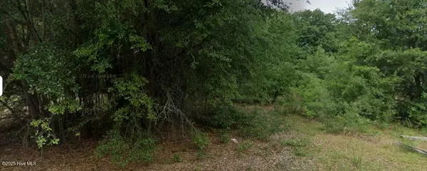 Hamlet, NC 28345,00 Patton ST