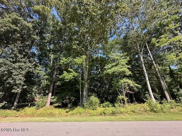 Elizabeth City, NC 27909,0000 Riddick RD