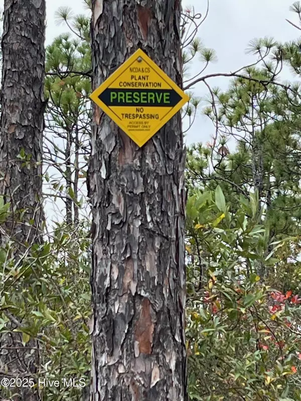 Southport, NC 28461,349 Magnolia RD