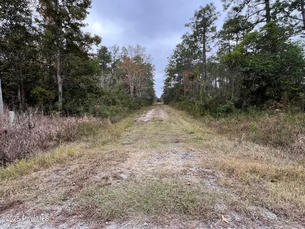 Southport, NC 28461,349 Magnolia RD