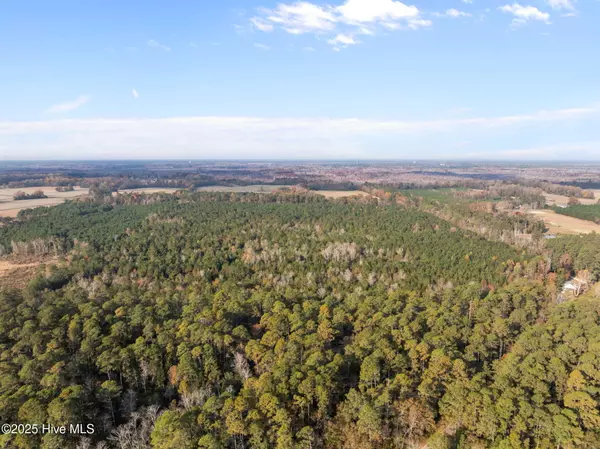 Hallsboro, NC 28442,1449 Pameter RD