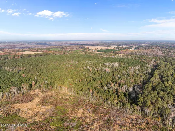 Hallsboro, NC 28442,1449 Pameter RD