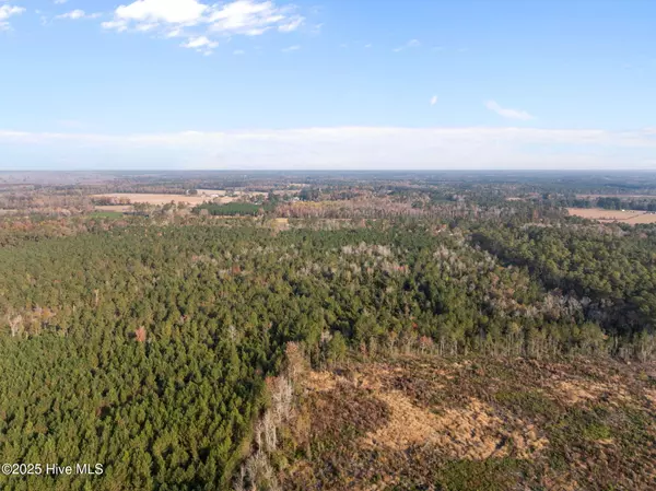 Hallsboro, NC 28442,1449 Pameter RD