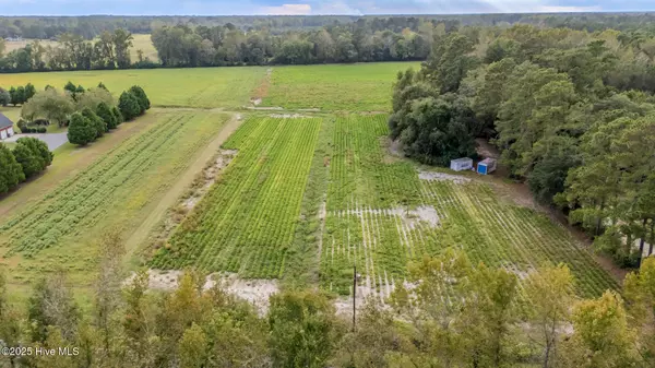 Cerro Gordo, NC 28430,2 515 Porter Swam RD