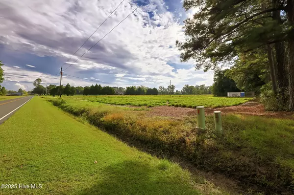 Cerro Gordo, NC 28430,2 515 Porter Swam RD