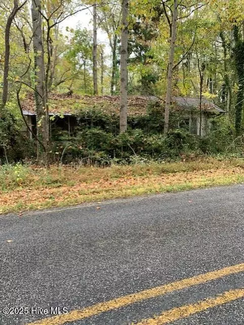 Harrellsville, NC 27942,Tbd Swains Mill RD