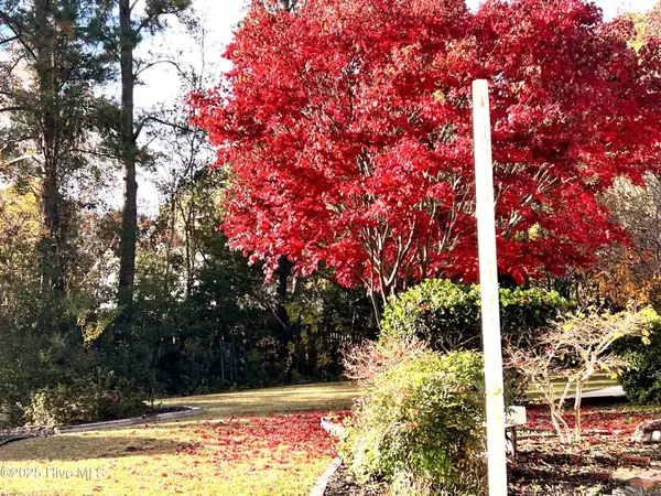 Castle Hayne, NC 28429,5917 Dekker RD