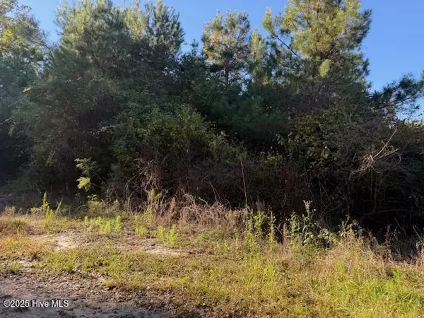 Winnabow, NC 28479,0 Knight WAY SE