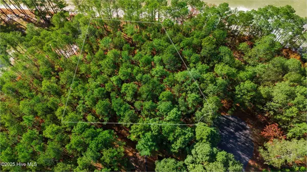 Wagram, NC 28396,Lot 28 Bluebird LN