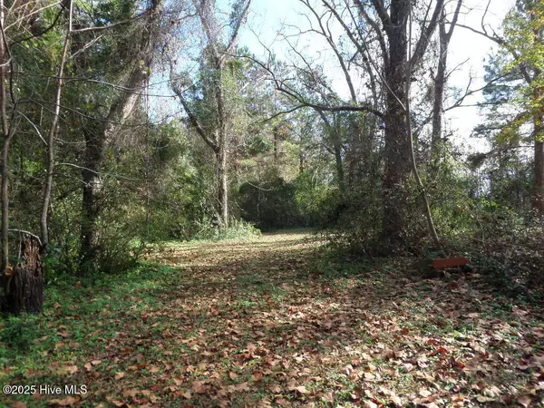 Arapahoe, NC 28510,7682 Kershaw RD