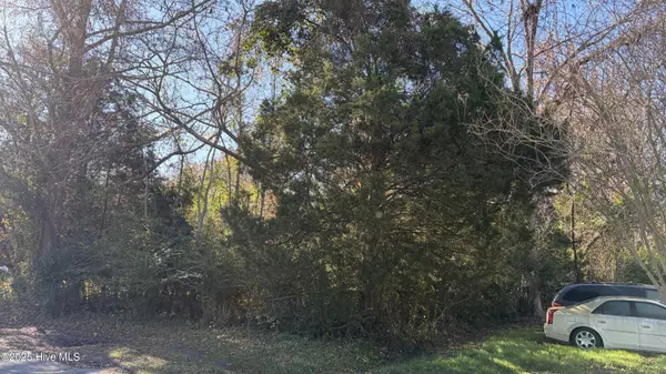 Belhaven, NC 27810,0 George ST