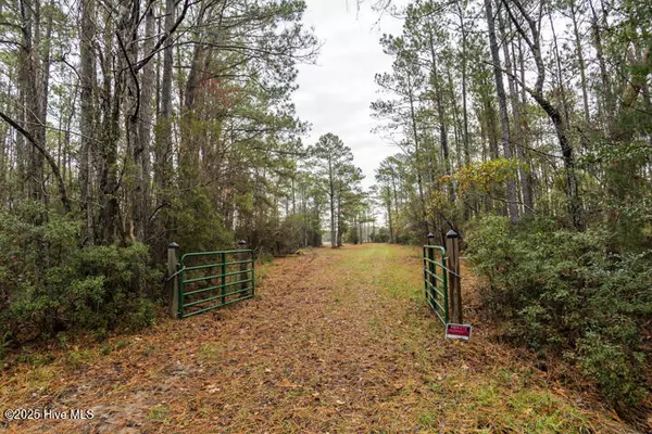 Oriental, NC 28571,202 Mills RD