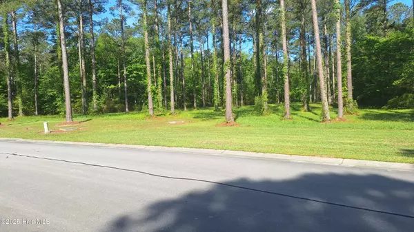 Oriental, NC 28571,156 Dawson Creek BLVD