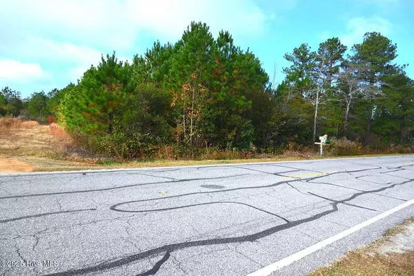 Rowland, NC 28383,00 Elrod RD