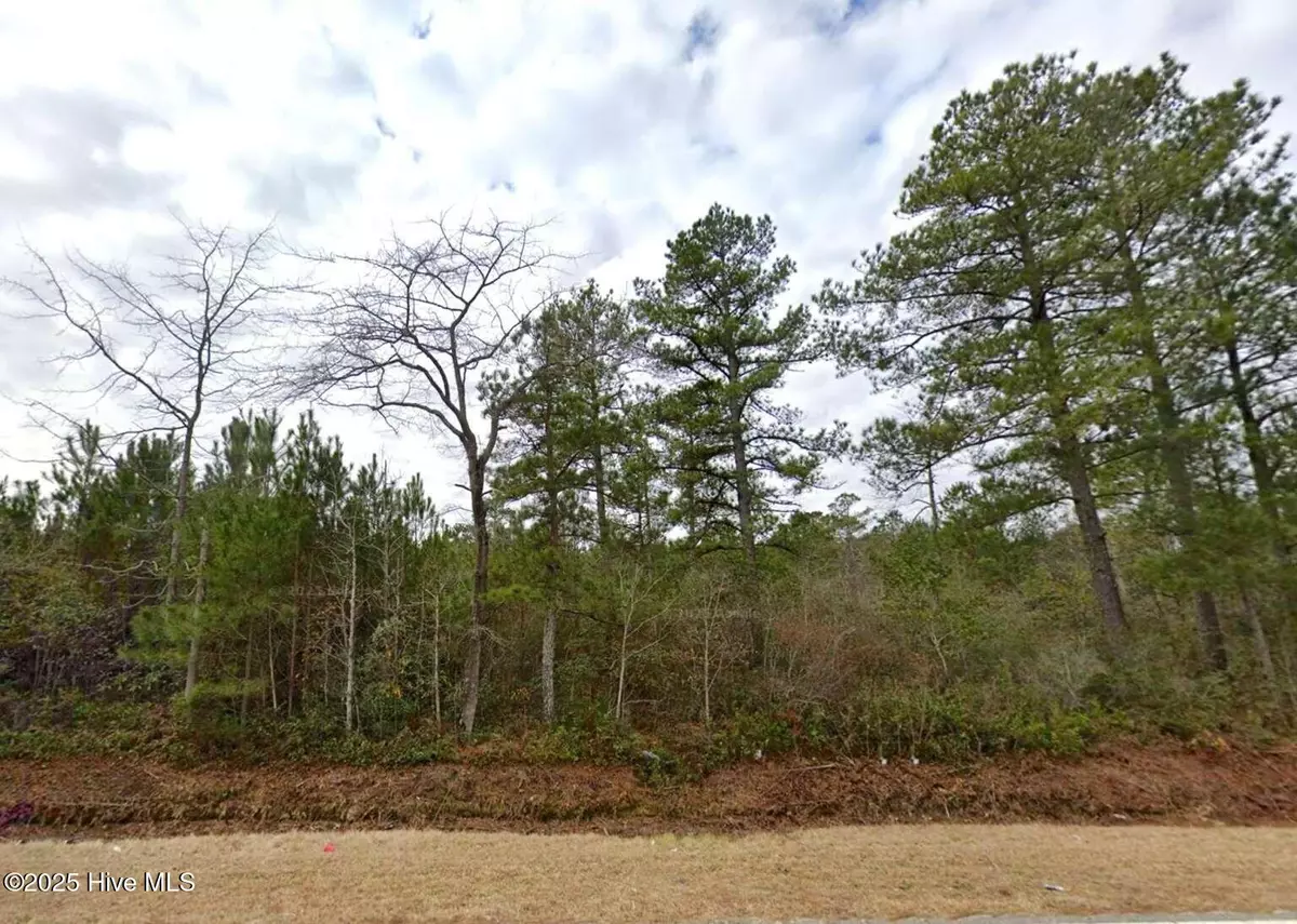 Rowland, NC 28383,00 Elrod RD