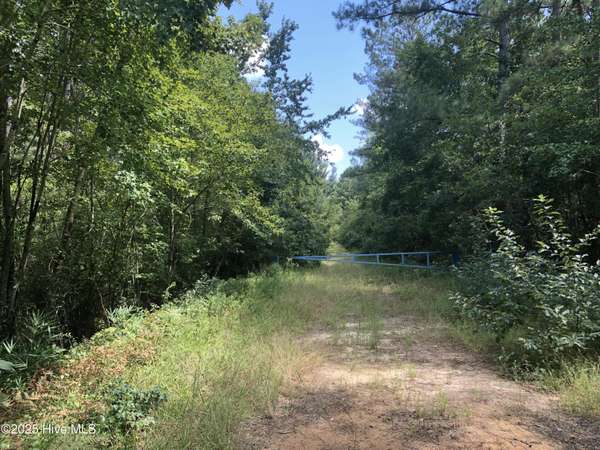 Trenton, NC 28585,0 Off Plantation Rd