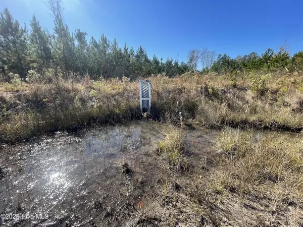 White Oak, NC 28399,7399 Burney RD