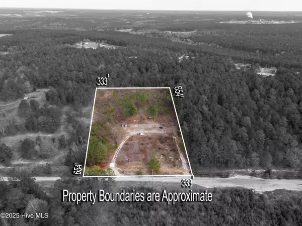 Hamlet, NC 28345,342 Ponderosa DR