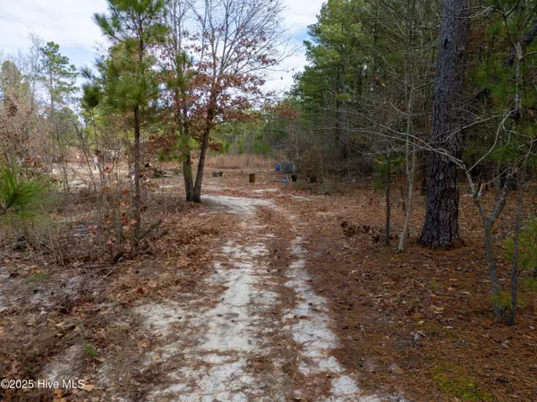 Hamlet, NC 28345,342 Ponderosa DR