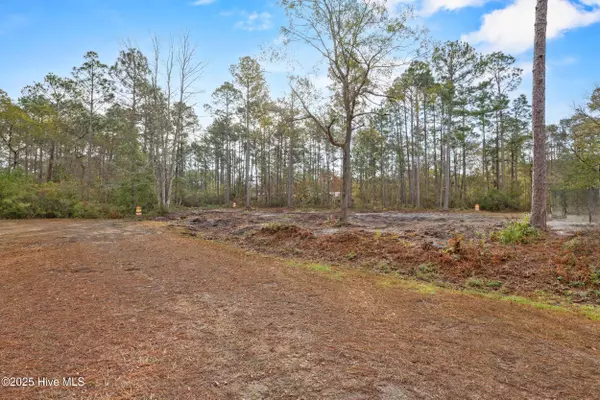 Boiling Spring Lakes, NC 28461,Lot 10 Dorado LN
