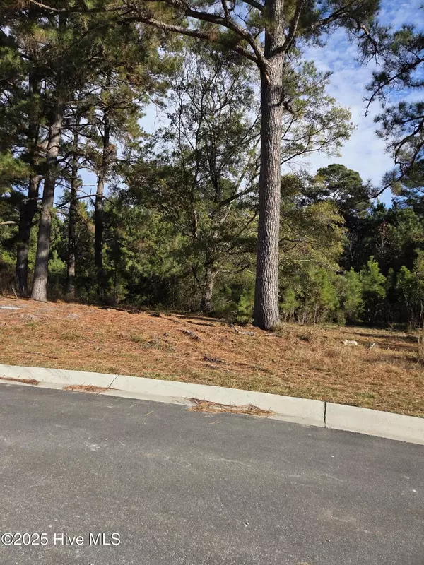 Sunset Beach, NC 28468,996 Montclair PL SW