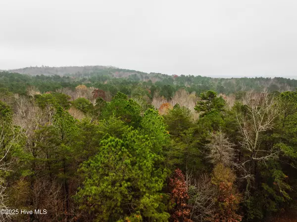 Rockingham, NC 28379,114 Lake View Pass