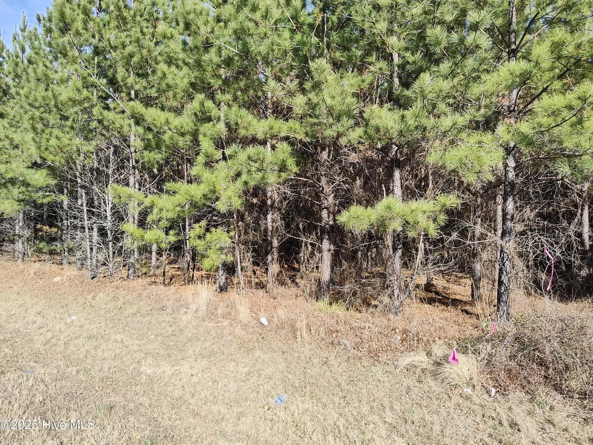 Jackson Springs, NC 27281,Lot 7 Windblow RD