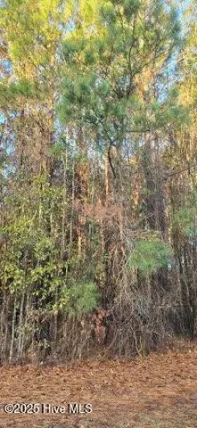 Fairmont, NC 28340,Tbd Bass RD