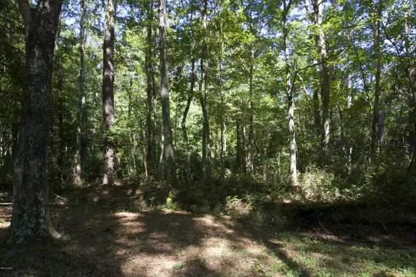 Gloucester, NC 28528,310 Wayland CT