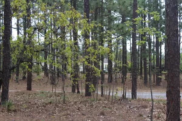 Southern Pines, NC 28387,40 Plantation DR