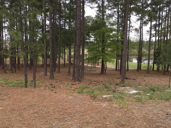 30 Masters Ridge PL, Southern Pines, NC 28387