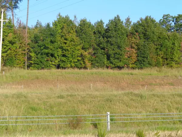 Ellerbe, NC 28338,Tbd Old Woods RD