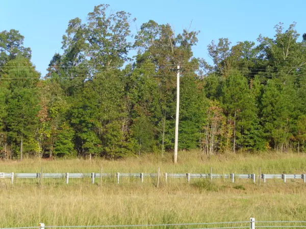 Ellerbe, NC 28338,Tbd Old Woods RD