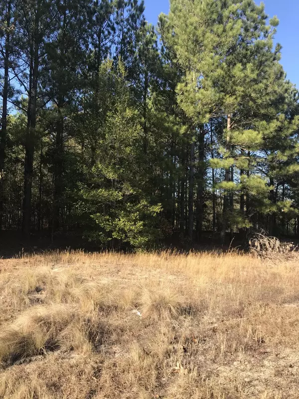 Tbd Rummage Packhouse Road, Ellerbe, NC 28338