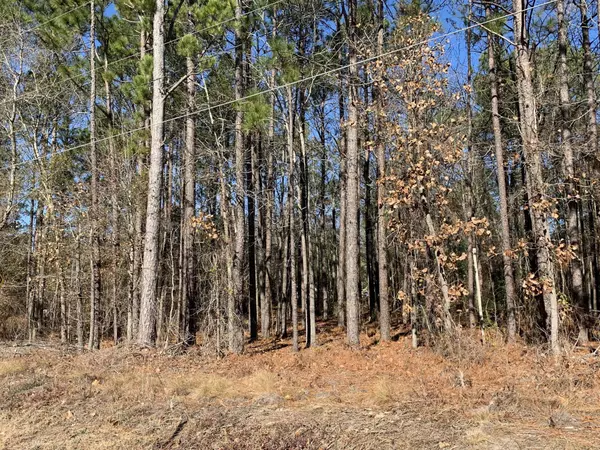 Tbd Willow LN, Hamlet, NC 28345
