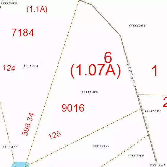 Carthage, NC 28327,125 Lot Western TRL