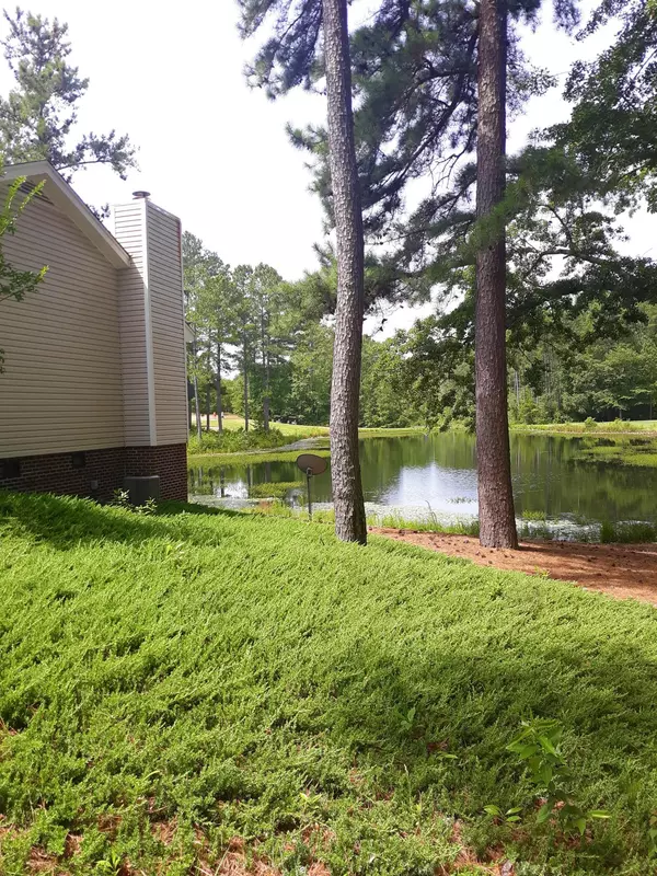 Wagram, NC 28396,0 Blue Heron Court