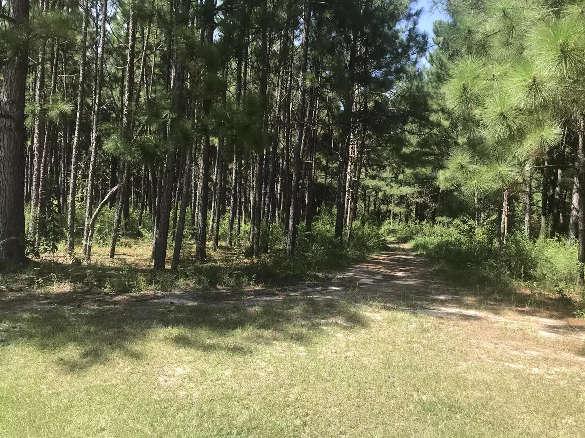 Vass, NC 28394,4658 Lobelia RD