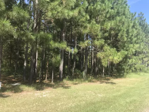 Vass, NC 28394,4658 Lobelia RD